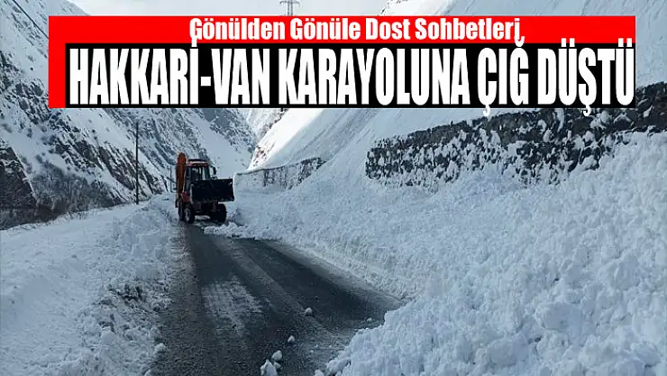 Hakkari-Van karayoluna çığ düştü