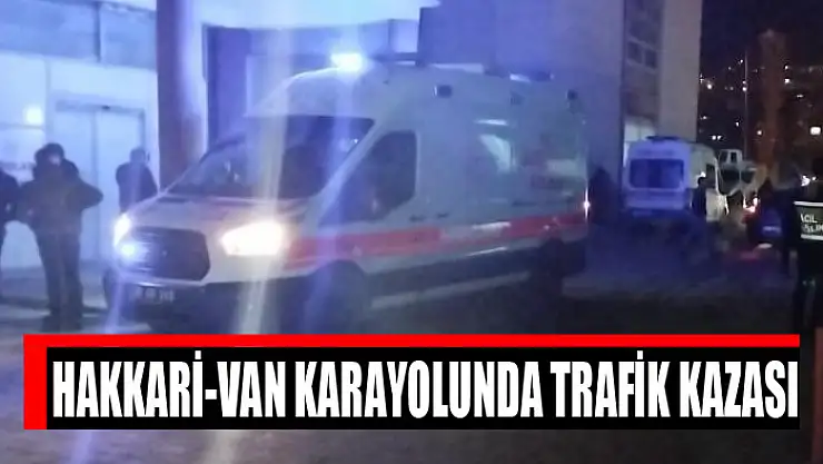 Hakkari-Van karayolunda trafik kazası
