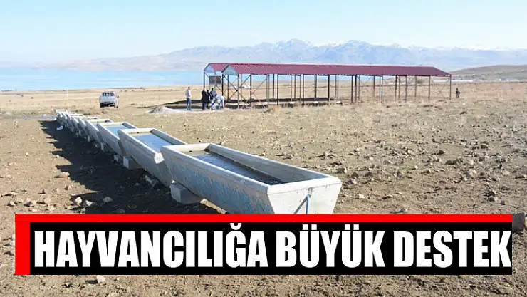 Hayvancılığa büyük destek