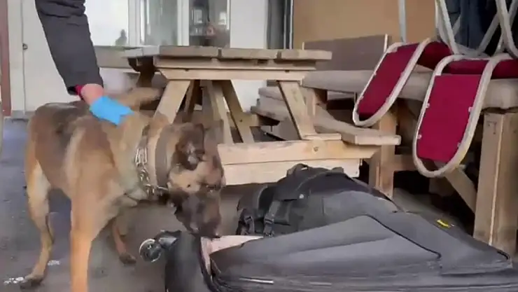 Hera yine uyuşturucuya geçit vermedi