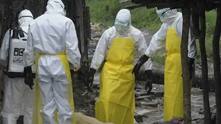 Hızla yayılıyor! Türkiye'de 590 köy karantinaya alındı