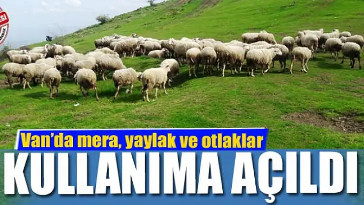 Van'da mera, yaylak ve otlaklar kullanıma açıldı