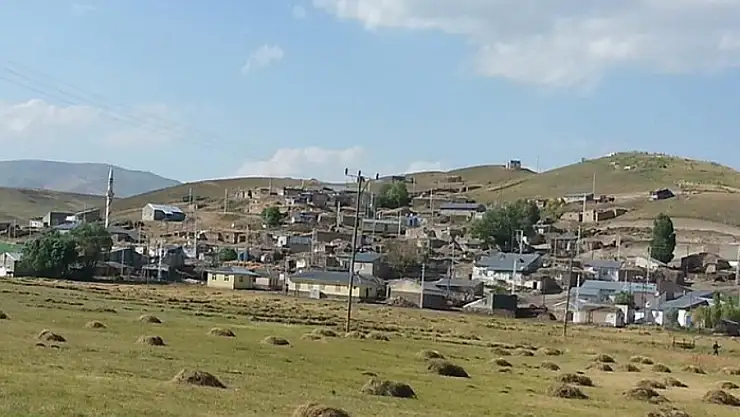 İki aile arasında kavga