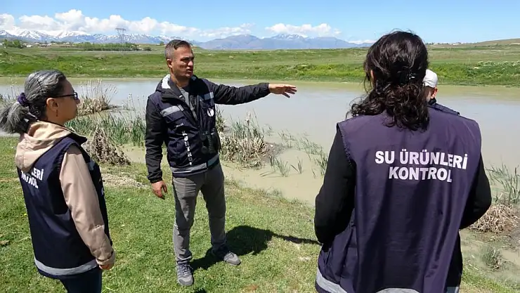İnci kefali'nin kaçak avcılardan korumak için yoğun denetim