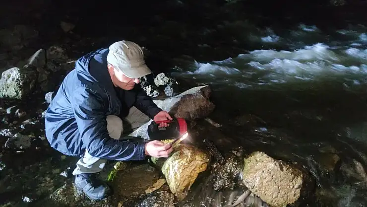 İnci kefalinin gece yolculuğu başladı