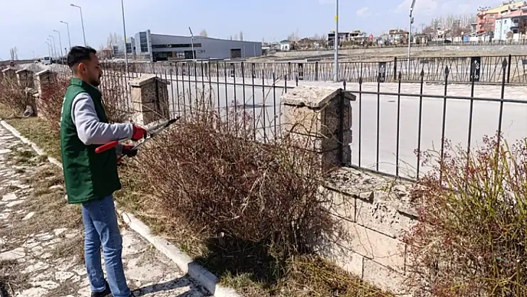 İpekyolu Belediyesi'nden budama çalışmaları