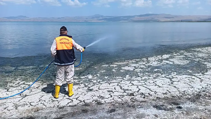 İpekyolu Belediyesi'nden vektörle mücadele çalışmaları