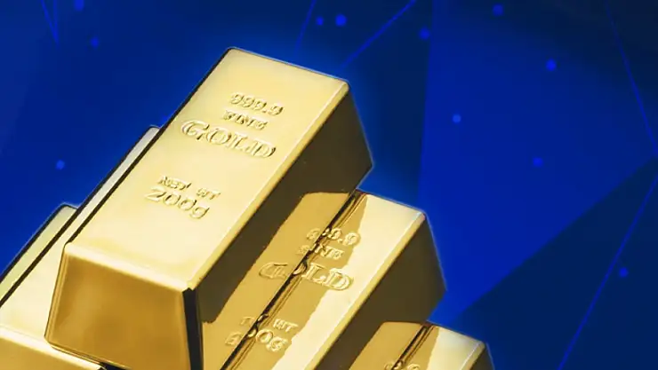 İstanbul'da 100 milyar lira kamu zararına neden olan suç örgütüne operasyon