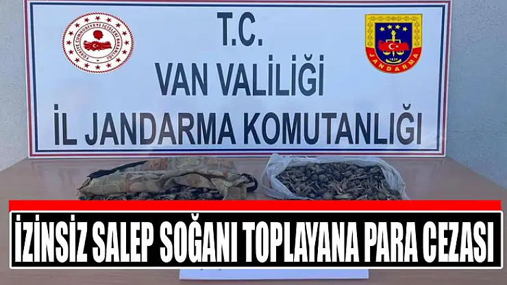 İzinsiz salep soğanı toplayana para cezası