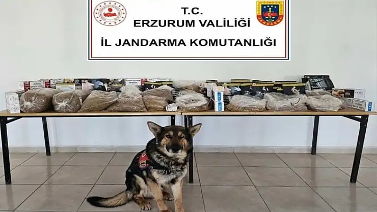 Jandarmadan kaçakçılara operasyon
