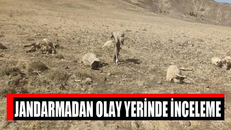 Jandarmadan olay yerinde inceleme