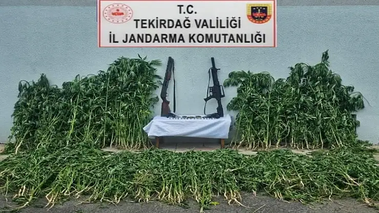 Jandarmadan uyuşturucu ve silah operasyonu