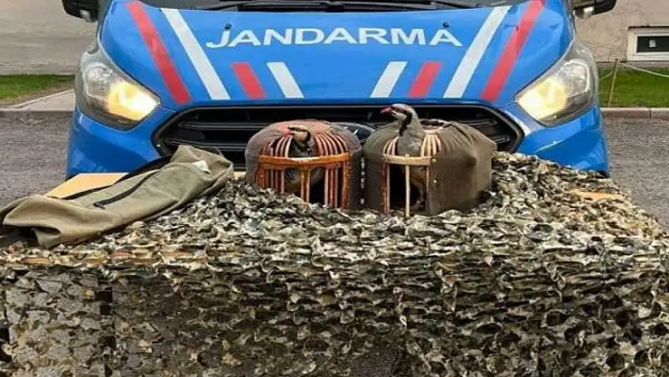 Jandarmadan yasa dışı keklik avcılarına suçüstü
