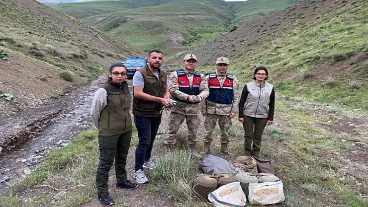 Kaçak avcılara 50 bin 824 lira para cezası 