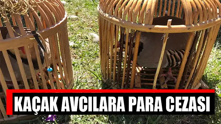 Kaçak avcılara para cezası