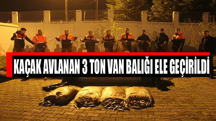 Kaçak avlanan 3 ton Van balığı ele geçirildi