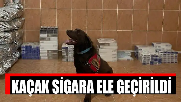 Kaçak sigara ele geçirildi