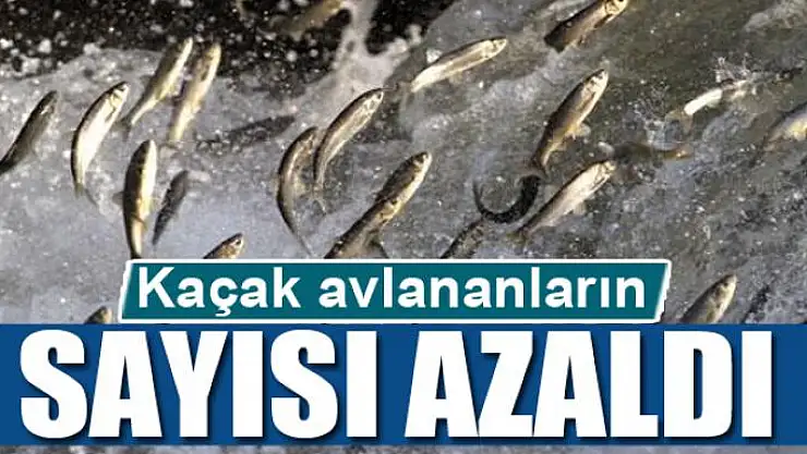 Kaçak avlananların sayısı azaldı
