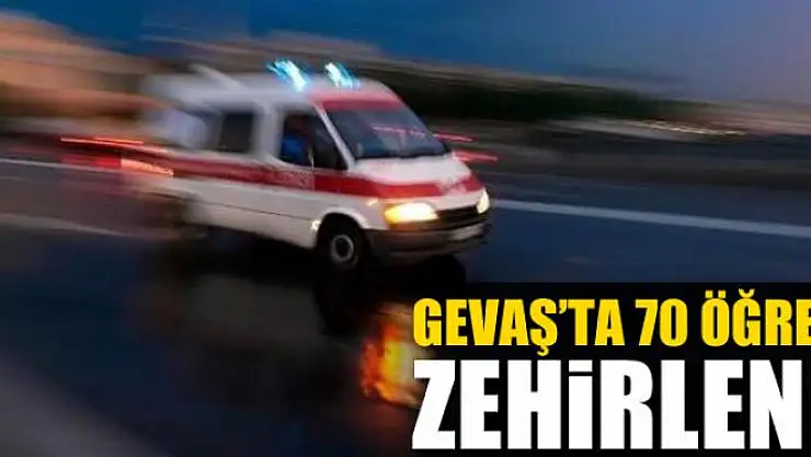 Gevaş'ta 70 öğrenci zehirlendi