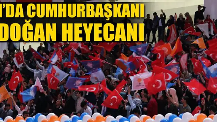 Van'da Cumhurbaşkanı Erdoğan heyecanı