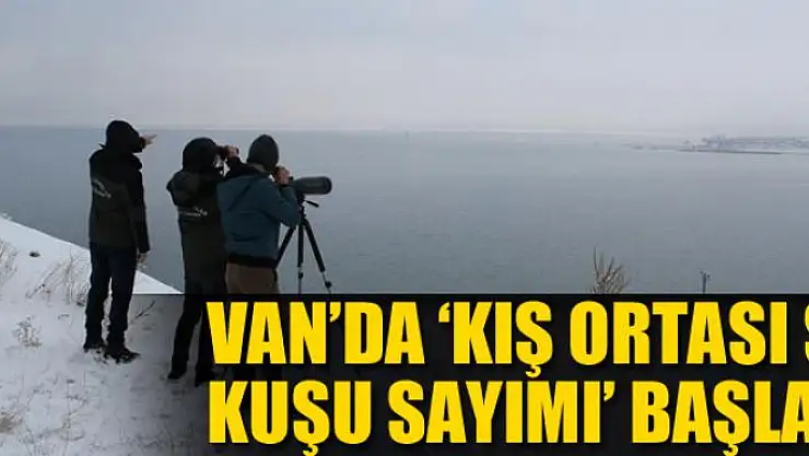 Van'da 'kış ortası su kuşu sayımı' başladı 