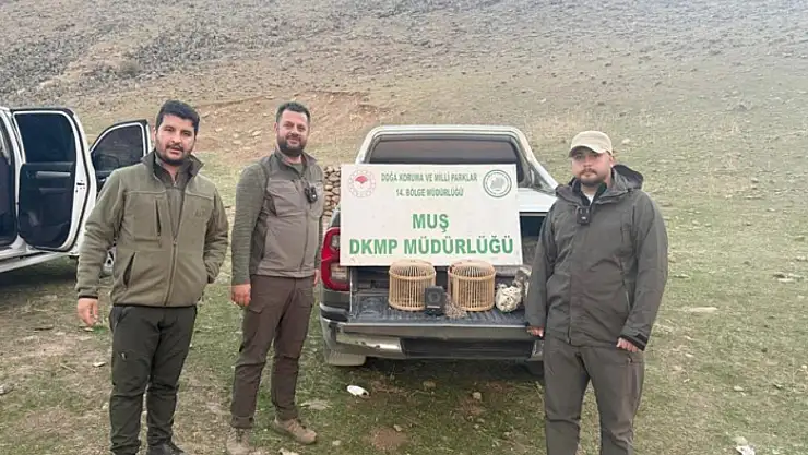 Kafes avcılığı yapan şahıs suçüstü yakalandı