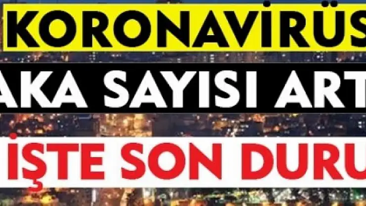 Van Valiliği son rakamları açıkladı