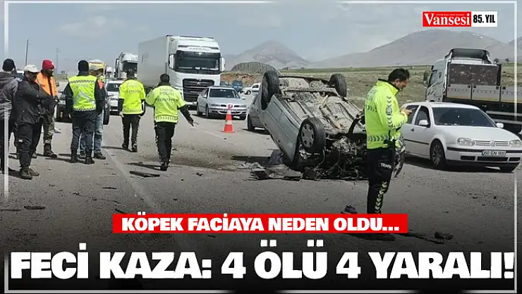 Kahramanmaraş'ta kaza, köpek faciaya neden oldu: 4 ölü 4 yaralı