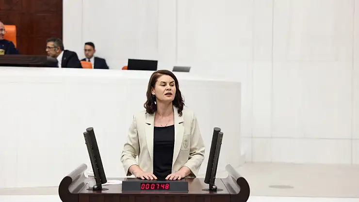 Kapıköy ve Gelincik sınır kapıları Meclis gündeminde