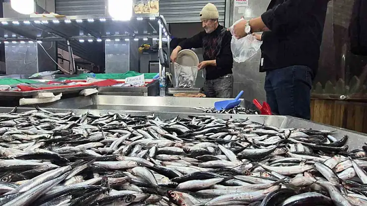 Karadeniz'de hamsi bollaştı, Bartın'da kilosu 50TL'ye düştü