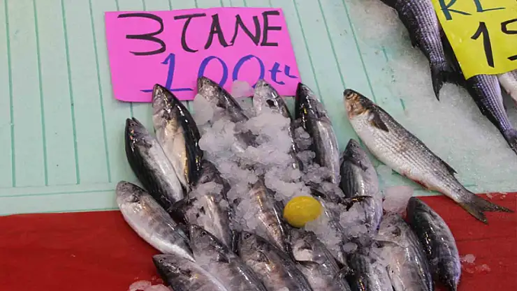 Karadeniz'de palamut bereketi: 3 tanesi 100 liraya kadar düştü