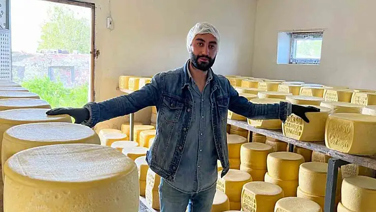 Kars'ta tonlarca süt, eski kaşar için işleniyor