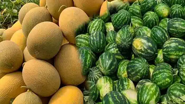 Kavun ve karpuz fiyatları düştü: Vatandaş bir nebze rahatladı