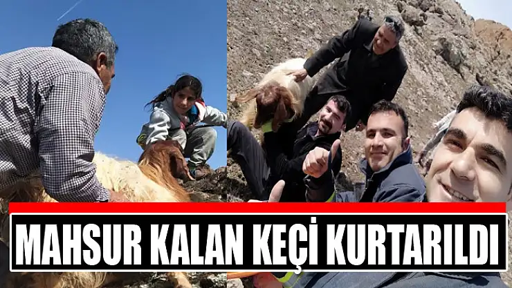 Kayalıklarda mahsur kalan keçi kurtarıldı