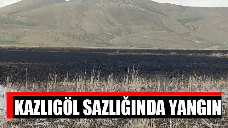 Kazlıgöl sazlığında yangın