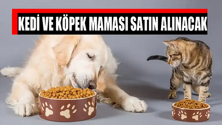 Kedi ve köpek maması satın alınacak