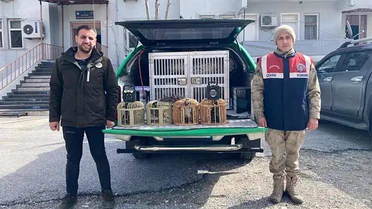 Keklik avcılarına para cezası