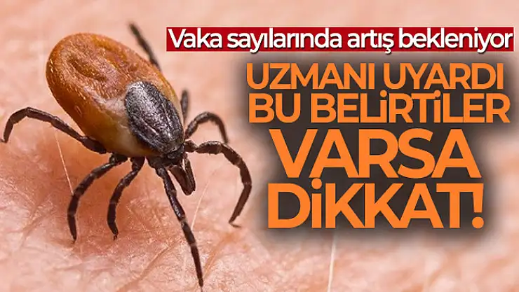 Kene ısırması belirtisi nasıl anlaşılır? Uzmanı uyardı! Vaka sayılarında artış bekleniyor