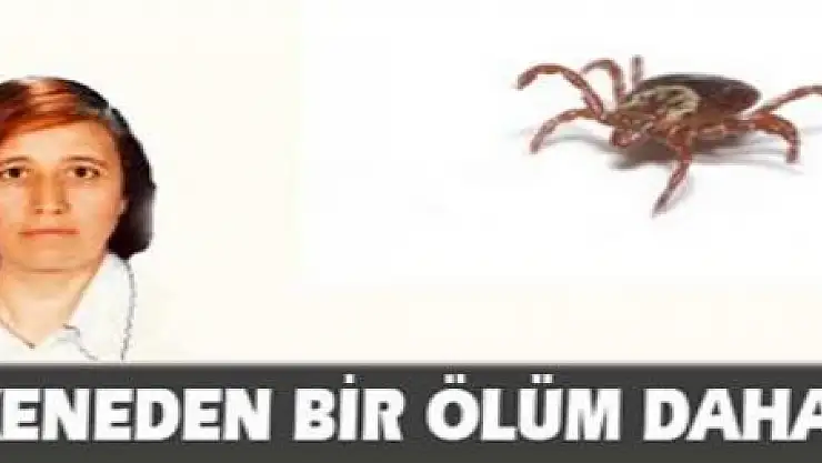 Keneden bir ölüm daha!