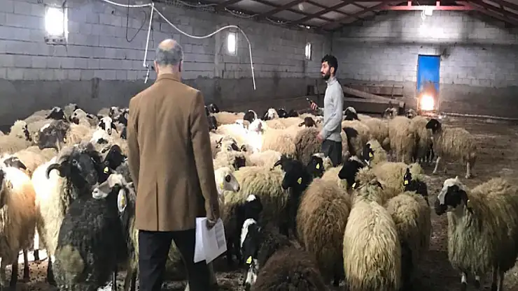 Kırsal Kalkınmada Uzman Eller Projesi kapsamında saha kontrolleri yapıldı