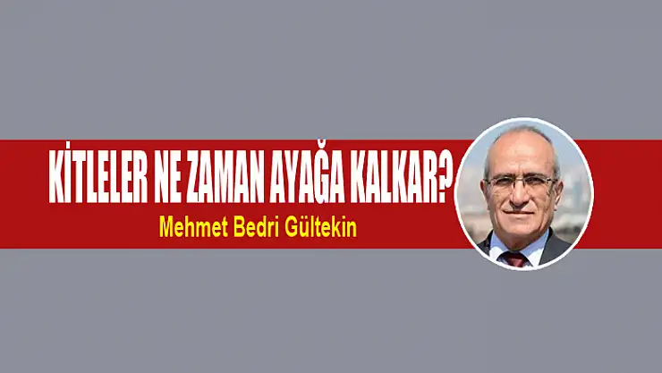 Kitleler ne zaman ayağa kalkar?