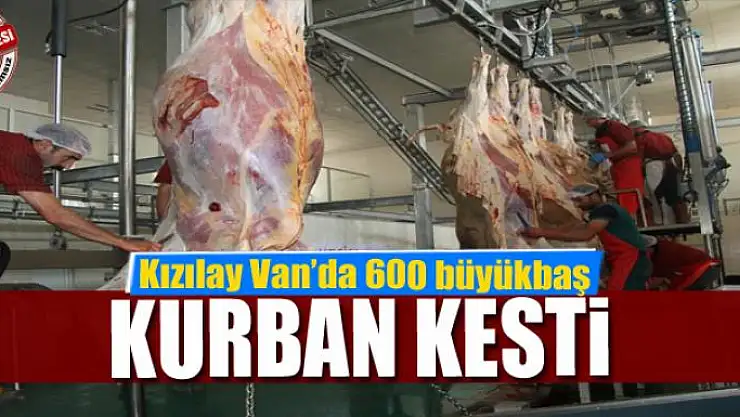Türk Kızılayı Van'da 600 büyükbaş kurban kesti