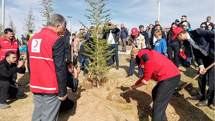 Kızılay gönüllülerinden fidan dikme etkinliği