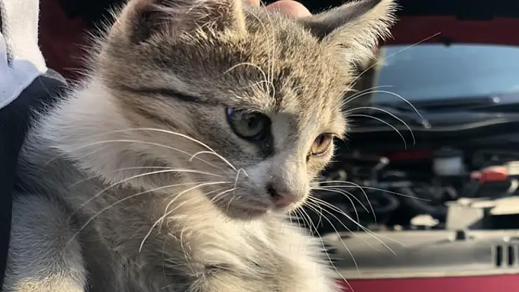 'Kontağı çevirmeden kaputa vurun' uyarısı