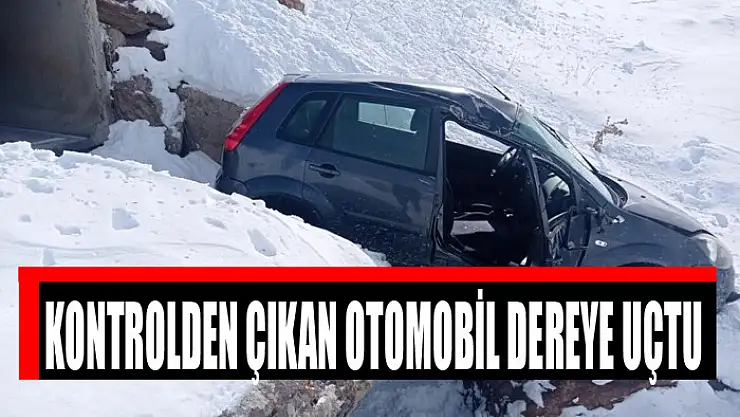 Kontrolden çıkan otomobil dereye uçtu