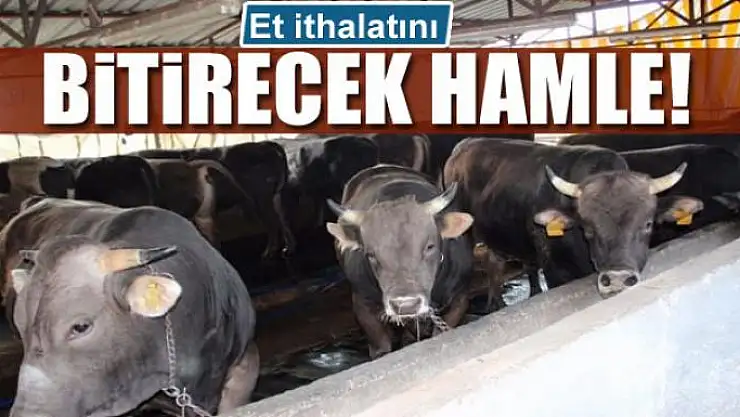 Et ithalatını bitirecek hamle!