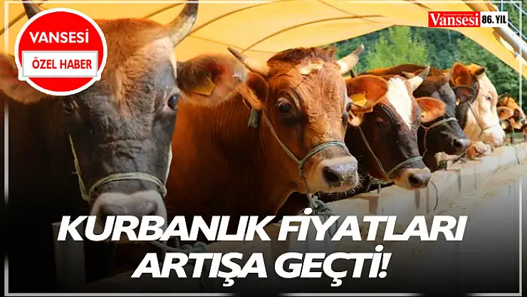 Kurbanlık fiyatları artışa geçti