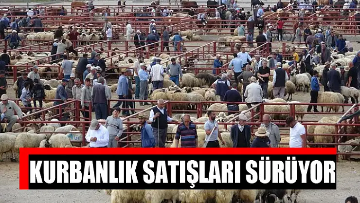 Kurbanlık satışları sürüyor