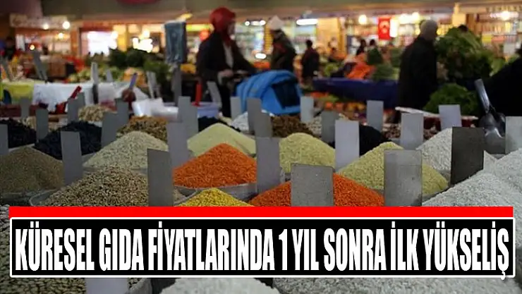 Küresel gıda fiyatlarında 1 yıl sonra ilk yükseliş