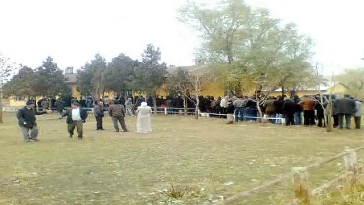 BU DA KÖMÜR KUYRUĞU